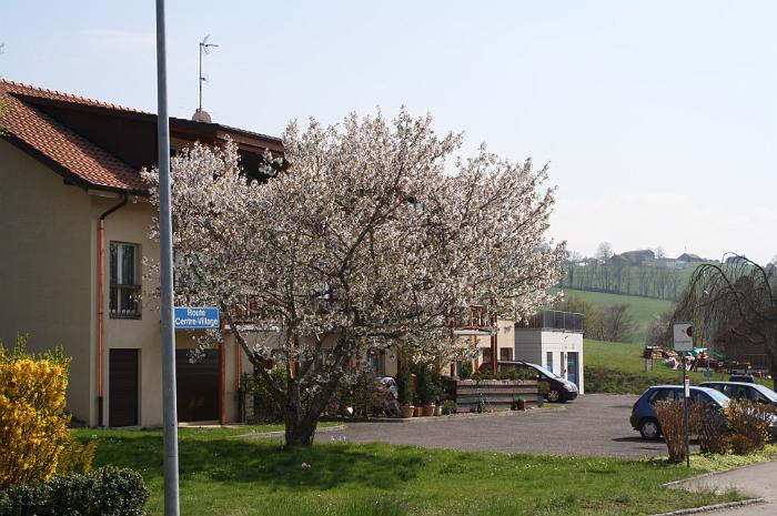 Centre du village